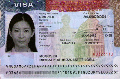 签证visa示例
